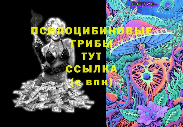 шишки Баксан